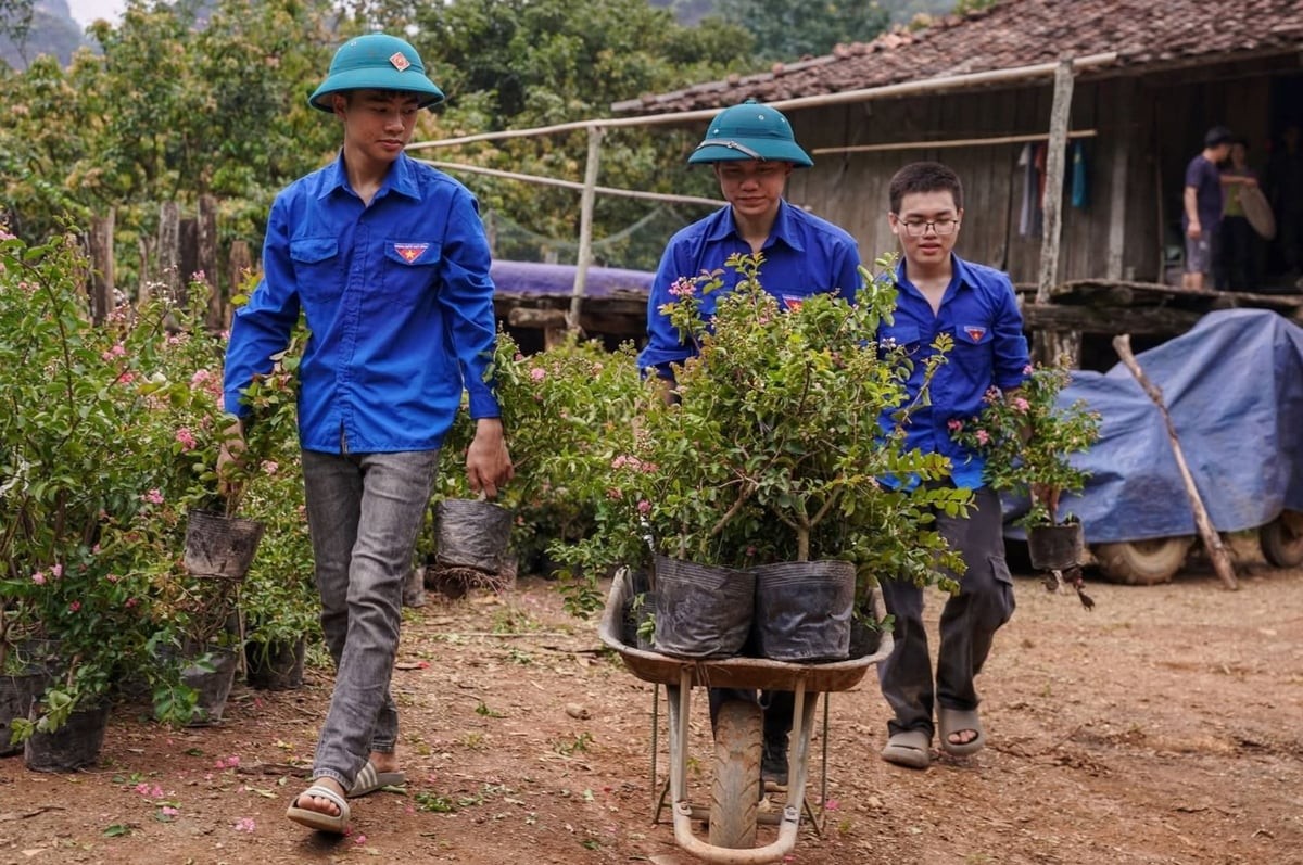 Trong suốt quá trình xây dựng và phát triển ngành Nông nghiệp và Môi trường, lực lượng đoàn viên, thanh niên luôn là đội ngũ tiên phong, xung kích trên mọi mặt trận. Ảnh: Trần Hương.