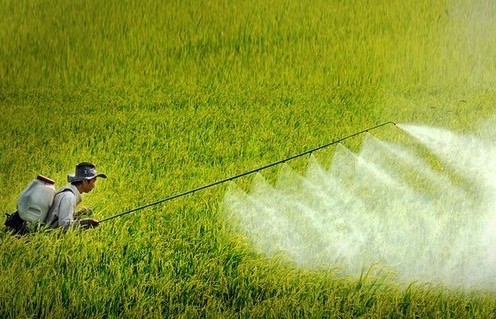 Hoàn thiện lộ trình cấm thuốc trừ sâu: Hướng tới nền nông nghiệp xanh, an toàn và bền vững