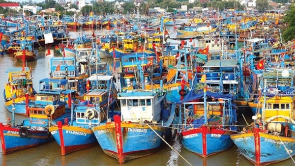 "Tăng tốc" cho mục tiêu 100% tàu cá được cấp phép hoạt động khai thác thủy sản hợp pháp