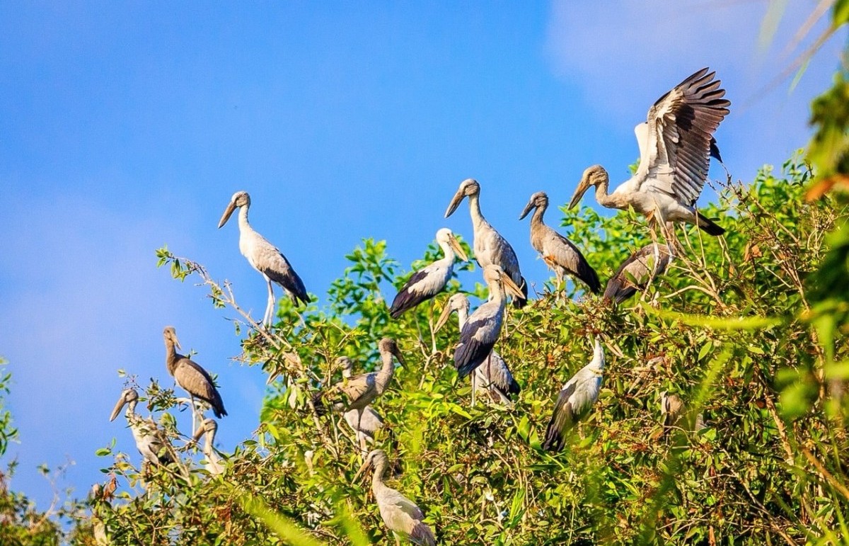 Triển khai Kế hoạch 628: Chiến dịch trọng điểm, cần chú trọng đến công tác truyền thông
