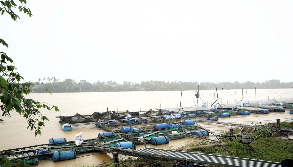 Tp. Huế: Gần 100 tấn cá chết trắng sau lũ, nông dân khốn đốn, chính quyền vào cuộc