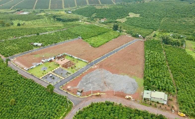 Lâm Đồng hướng dẫn thực hiện thủ tục sử dụng đất kết hợp đa mục đích theo Luật Đất đai 2024