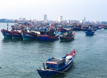 Hải Phòng ra quân tháng cao điểm chống khai thác hải sản bất hợp pháp