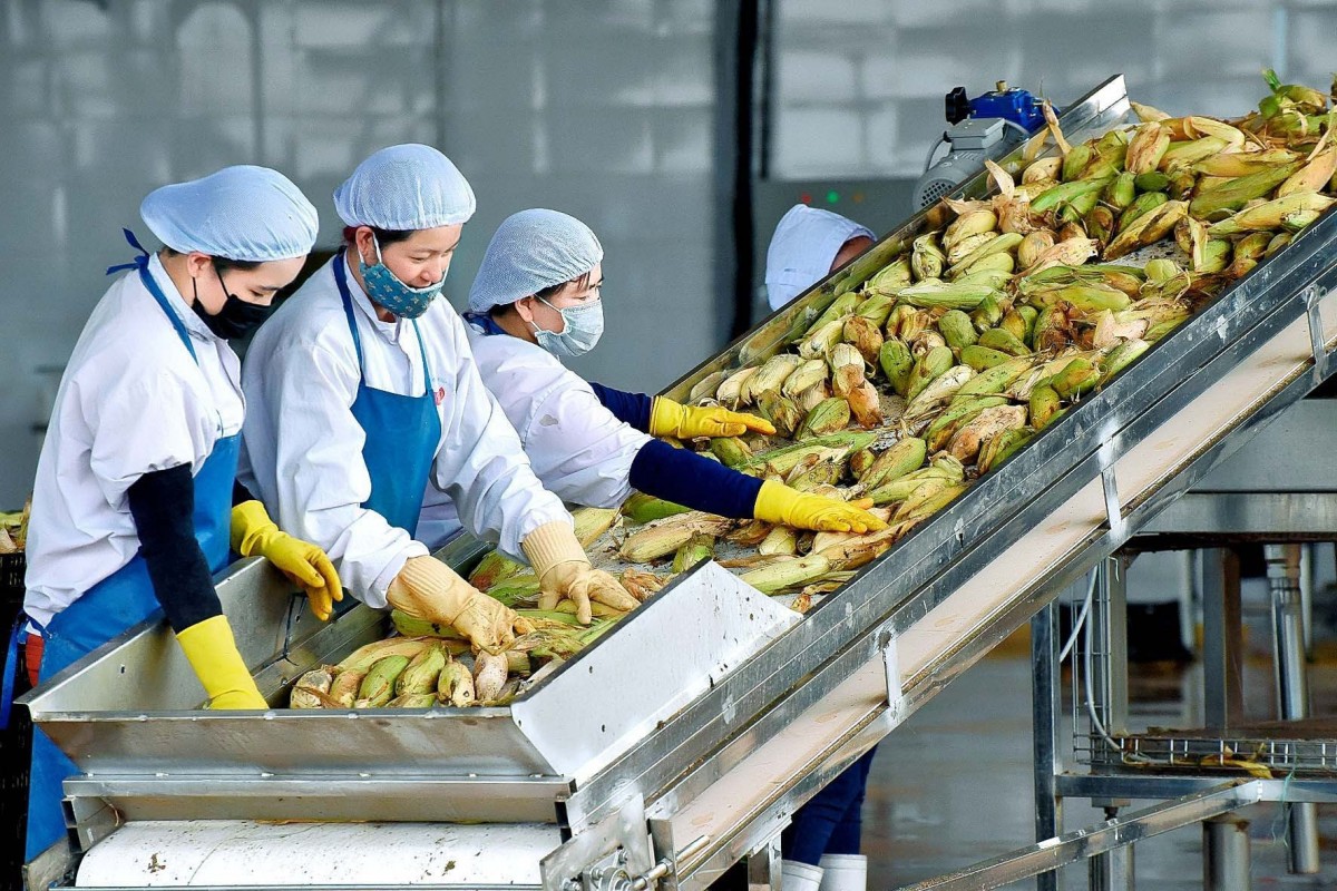 Nông lâm thủy sản xuất khẩu ước đạt hơn 58 tỷ USD sau 10 tháng