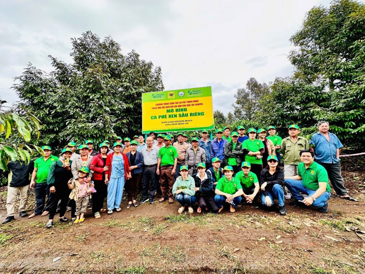 Cà phê Việt Nam trước biến đổi khí hậu: Thách thức và giải pháp thích ứng