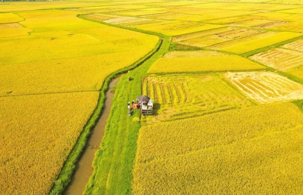 Đề xuất cơ chế mở đường hướng tới chuỗi giá trị nông nghiệp xanh