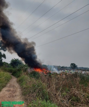 Hải Phòng thiết lập đường dây nóng tiếp nhận, xử lý thông tin về ô nhiễm môi trường