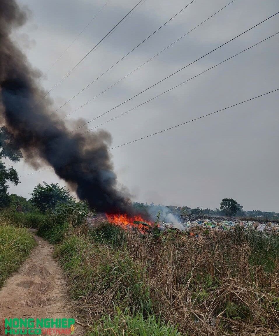 Hải Phòng thiết lập đường dây nóng tiếp nhận, xử lý thông tin về ô nhiễm môi trường