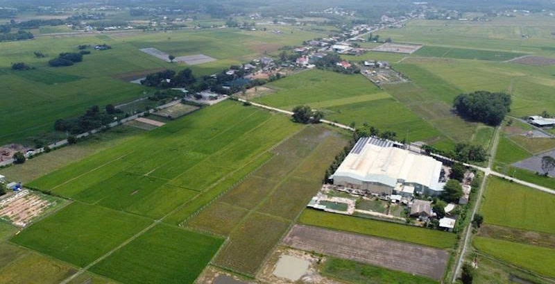 Lâm Đồng quy định diện tích, vị trí xây dựng công trình phục vụ sản xuất nông nghiệp trên đất trồng lúa