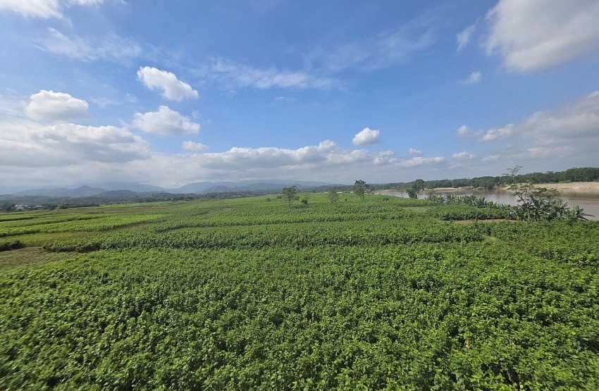 Lào Cai: Các địa phương tập trung khắc phục sản xuất nông nghiệp sau bão