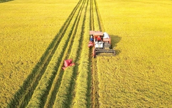 Ngành nông nghiệp triển khai kế hoạch giảm phát thải trong trồng trọt đến năm 2050