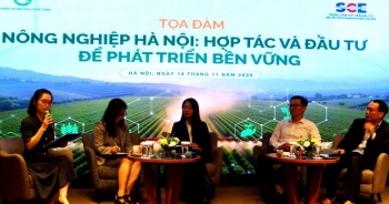 Phát triển nông nghiệp Hà Nội cần chiến lược đồng bộ và dài hạn