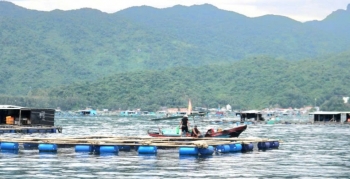 Đắk Lắk: Tăng cường công tác quản lý nuôi trồng thủy sản trên địa bàn