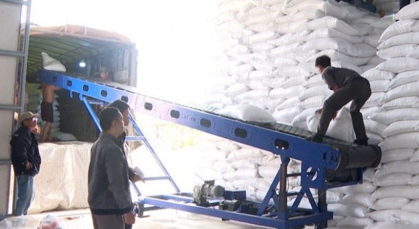 Gia Lai: Phân bổ 2.000 tấn gạo hỗ trợ người dân vùng bị thiên tai, lũ lụt