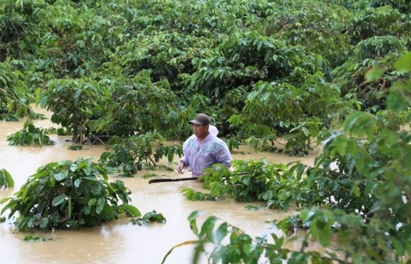 VOAA phát động ủng hộ đồng bào vùng bão lũ miền Trung