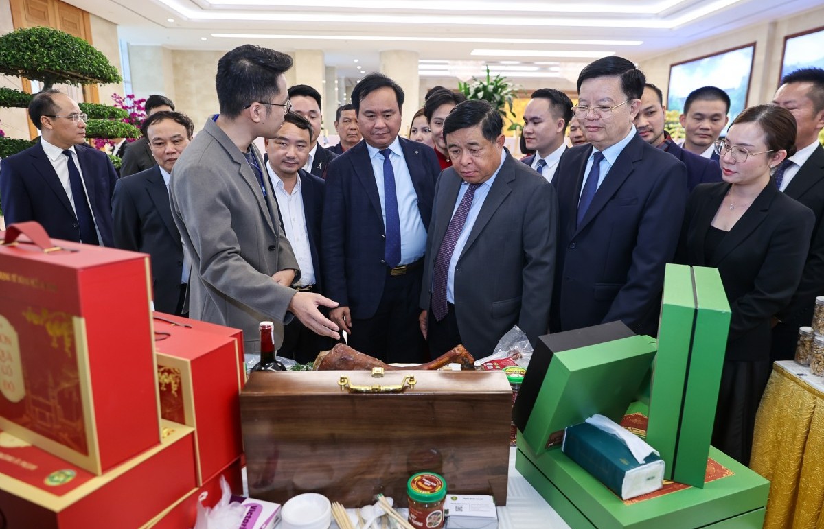 Phát huy hiệu quả liên kết giữa hợp tác xã và doanh nghiệp