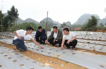 Thái Nguyên: Thúc đẩy phát triển nông lâm nghiệp gắn với đồng bào dân tộc thiểu số