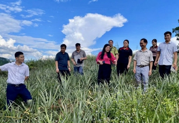 Bạch Đằng khơi dậy niềm tin và khát vọng từ Nghị quyết Đảng bộ xã