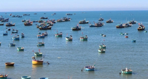 Lâm Đồng ban hành chính sách hỗ trợ ổn định đời sống cho chủ tàu thủy sản không đủ điều kiện khai thác