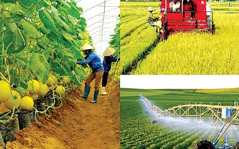 Nông nghiệp hữu cơ Việt Nam: Tiềm năng cần được "đánh thức"