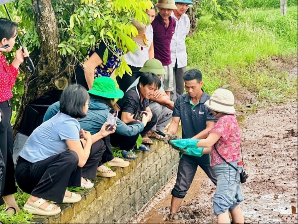Mô hình "Lúa - Rươi" tại xã Tân Minh: Hướng đi bền vững nâng cao giá trị nông sản Hải Phòng