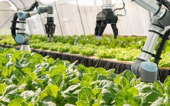 Phát triển bền vững nông nghiệp ứng dụng công nghệ cao và nông nghiệp hữu cơ