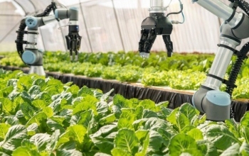 Phát triển bền vững nông nghiệp ứng dụng công nghệ cao và nông nghiệp hữu cơ