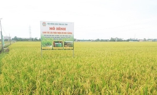 Hà Tĩnh chú trọng phát triển nông nghiệp hữu cơ giai đoạn 2025-2030