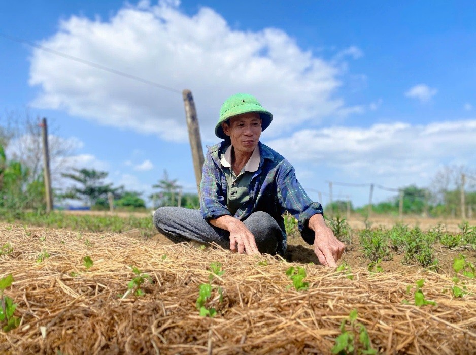 Nông dân phường Dương Nỗ chủ động vượt qua thiên tai,dịch bệnh để giữ vững sản xuất. Ảnh minh hoạ