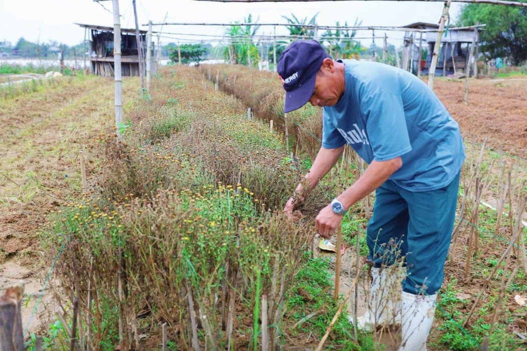 Nông dân phường Dương Nỗ chủ động vượt qua thiên tai,dịch bệnh để giữ vững sản xuất. Ảnh minh hoạ