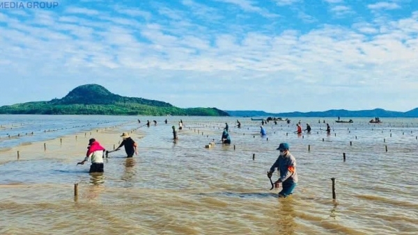 Siết chặt vi phạm nuôi trồng thủy sản trái phép: Quảng Hà và nhiều địa phương lập lại trật tự bãi triều