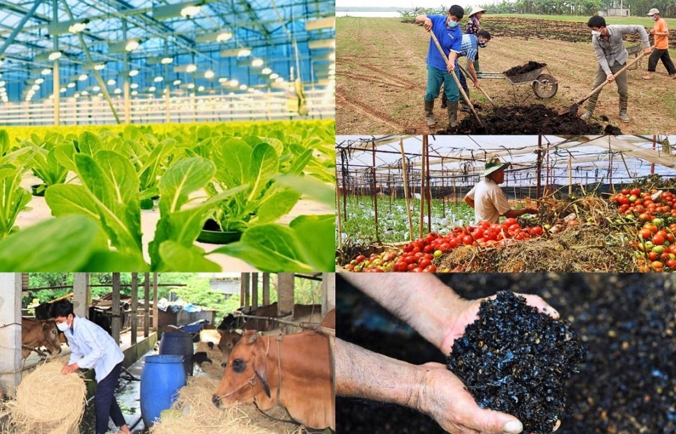 Tạo đột phá cho kinh tế tập thể, hợp tác xã với mô hình xanh, số, tuần hoàn