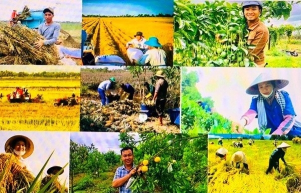 Đẩy mạnh cơ cấu nông nghiệp theo hướng phát triển xanh, hữu cơ, tuần hoàn