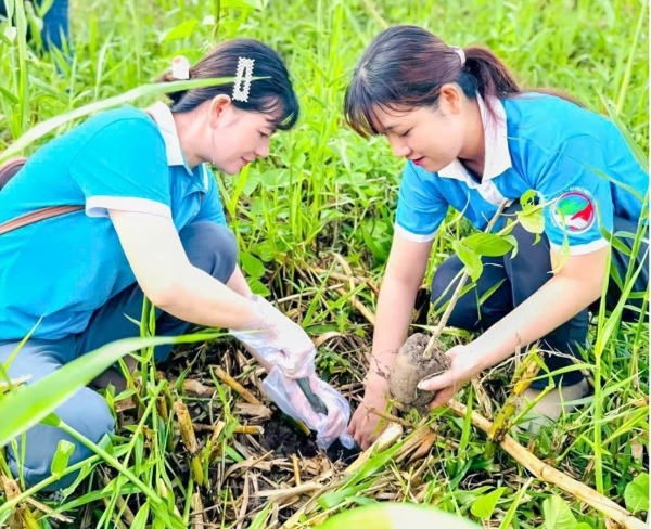 Đẩy mạnh phát triển rừng và cây xanh phân tán