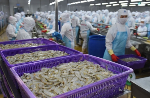 Tôm Việt đối mặt thách thức tại thị trường Mỹ