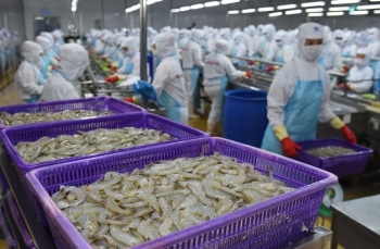 Tôm Việt đối mặt thách thức tại thị trường Mỹ
