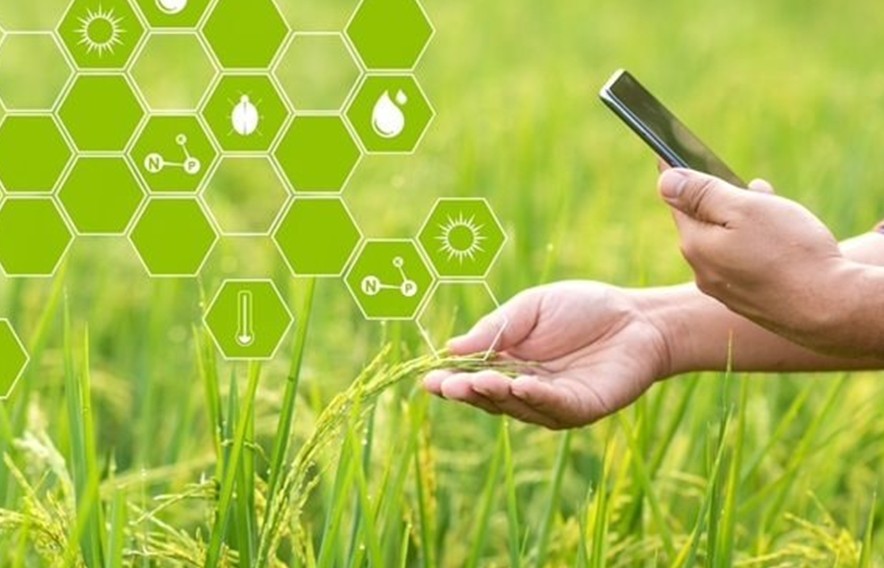 Nông nghiệp thông minh: Con đường tất yếu đến tương lai bền vững