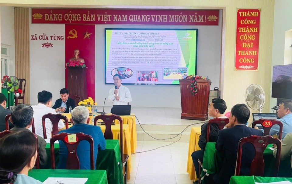 Quảng Trị: Kết nối sản xuất và tiêu thụ sản phẩm tiêu hữu cơ tại xã Cửa Tùng