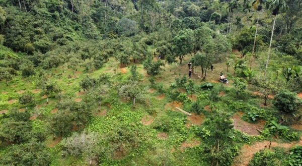 10 năm kiên trì, lão nông biến quả ngọt sinh ra từ đá