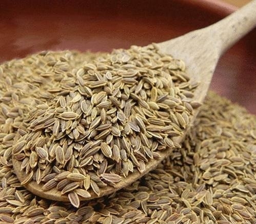 Lợi ích khi nhai hạt thì là sau bữa ăn