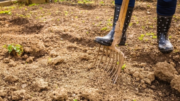 Không để đất “kiệt sức” sau mùa vụ: Giải pháp cải tạo đất cho nông nghiệp xanh