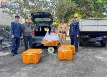 Ra quân ngăn chặn thực phẩm “bẩn” xâm nhập thị trường Quảng Ninh dịp cuối năm