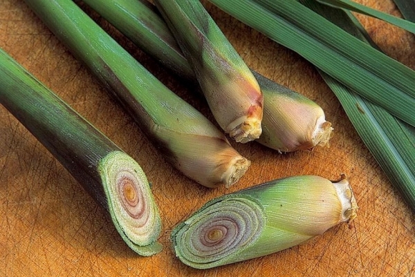 Vì sao nên thêm củ sả vào bữa ăn hằng ngày?