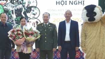 Cao Bằng: Tổng kết Dự án bảo tồn vượn Cao Vít giai đoạn 2021 - 2025