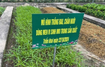 Tái chế phụ phẩm nông nghiệp, hướng đi mới cho khởi nghiệp xanh của thanh niên