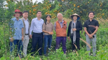 Lâm Đồng tập trung triển khai đồng bộ nhiệm vụ sản xuất vụ Đông Xuân 2025 - 2026