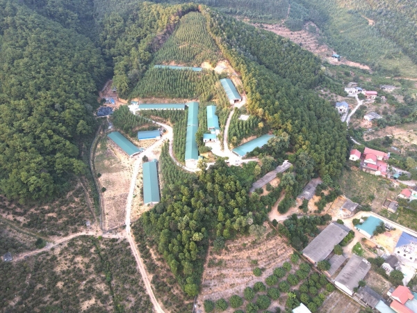 Quảng Ninh: Siết chặt quản lý môi trường trong phát triển chăn nuôi bền vững