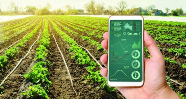 Tín chỉ carbon - “chìa khóa vàng” cho nông nghiệp hữu cơ - Bài 3: "Cuộc chơi" liên kết chuỗi giá trị và sức mạnh công nghệ