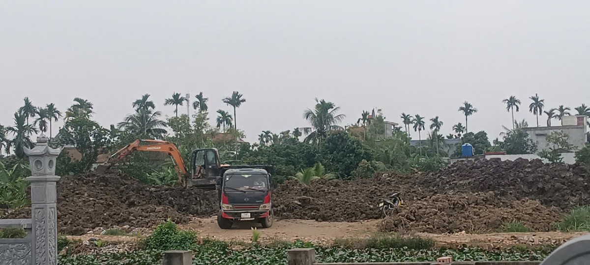 Hải Phòng: Hàng trăm mẫu ruộng 