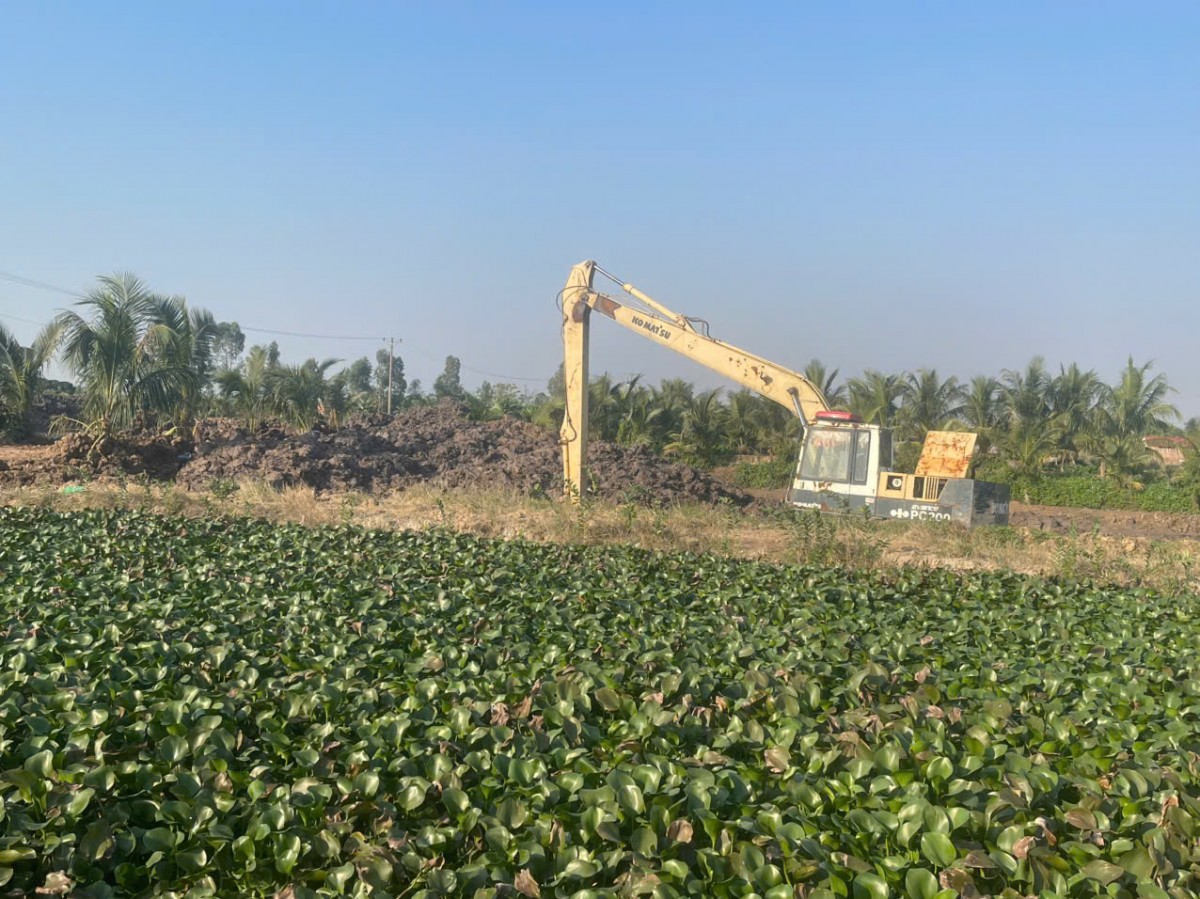 Hải Phòng: Hàng trăm mẫu ruộng 